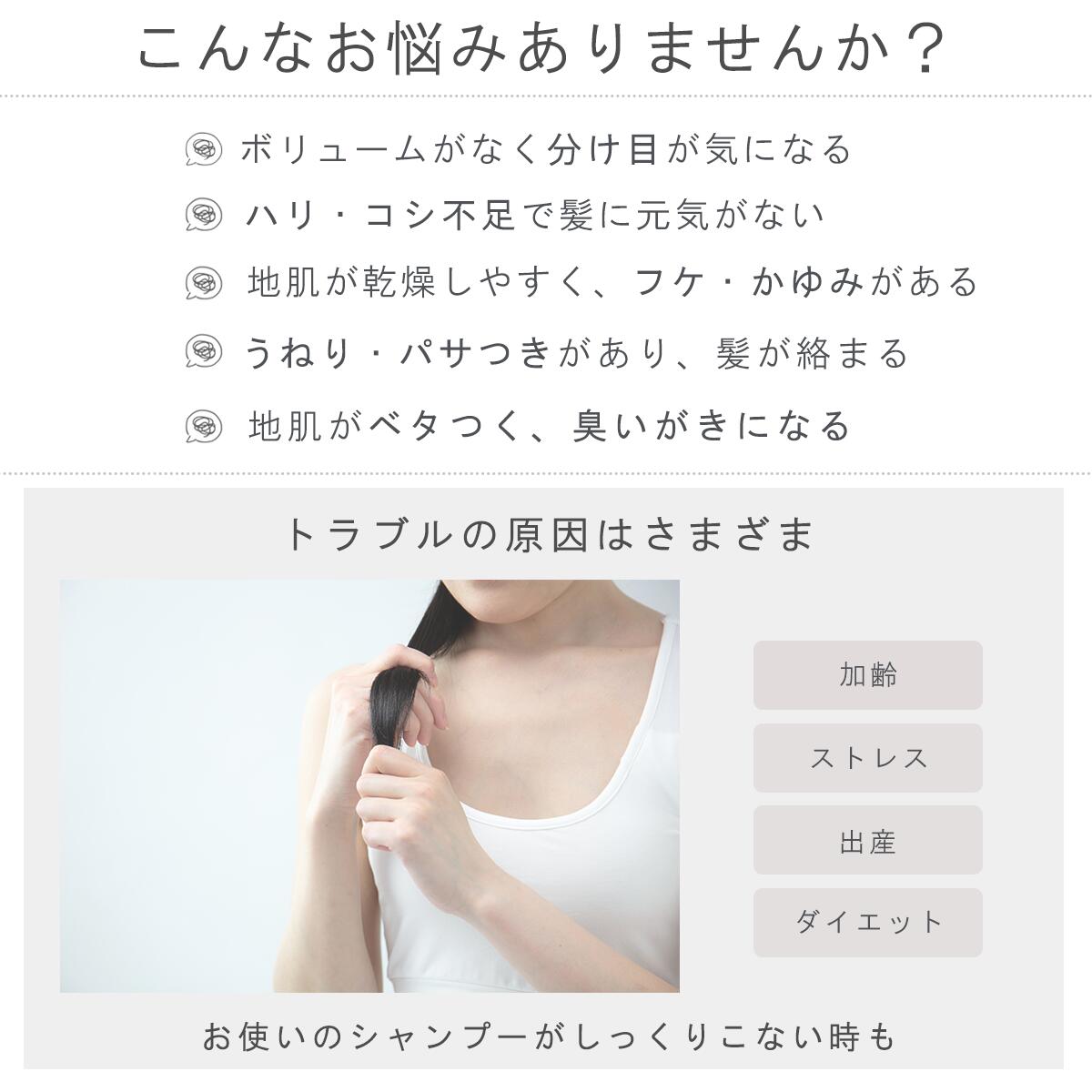 ザ・チャーガ 薬用スカルプシャンプー 290mL