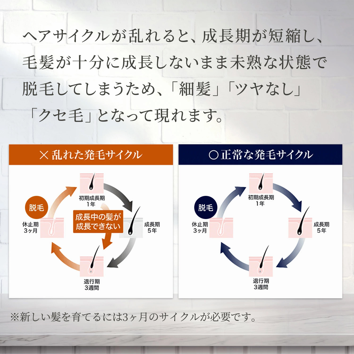 ザ・チャーガ 薬用スカルプシャンプー 290mL