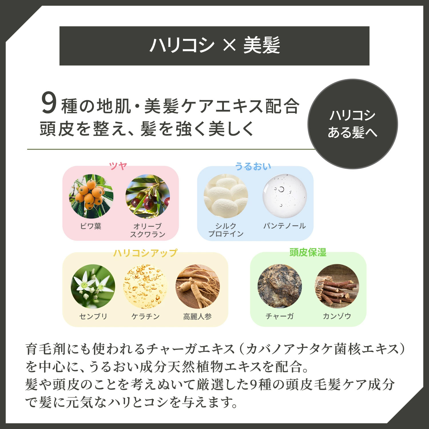ザ・チャーガ 薬用スカルプシャンプー 290mL