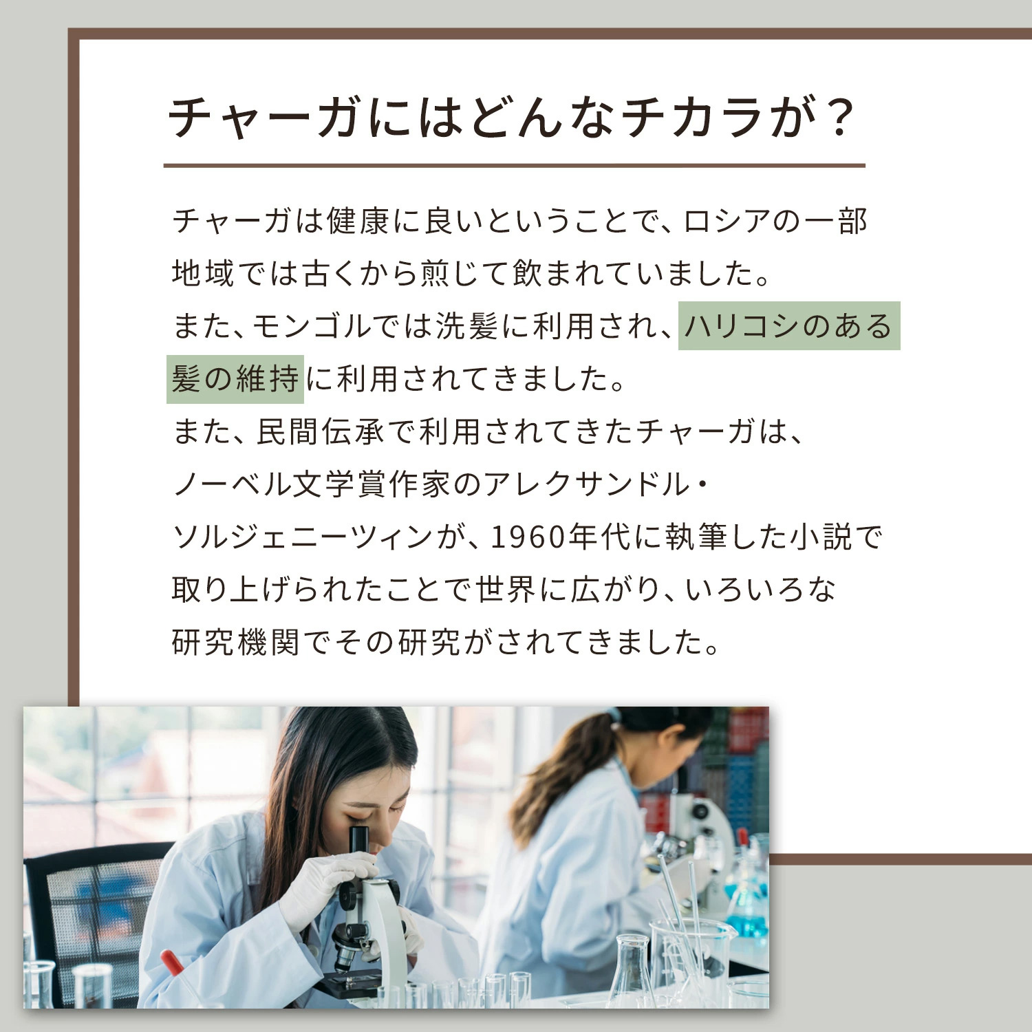 ザ・チャーガ 薬用スカルプシャンプー 290mL