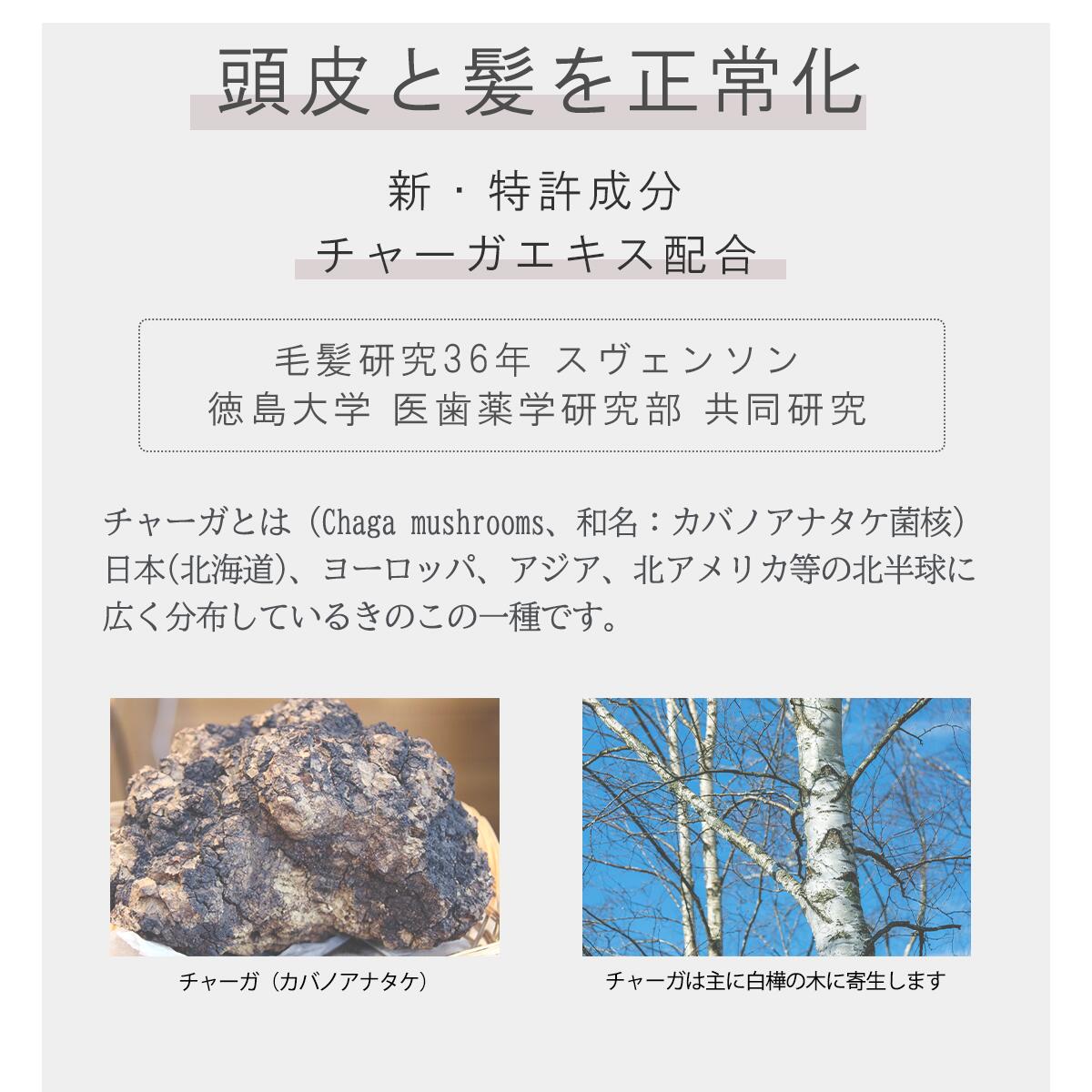ザ・チャーガ 薬用スカルプシャンプー 290mL