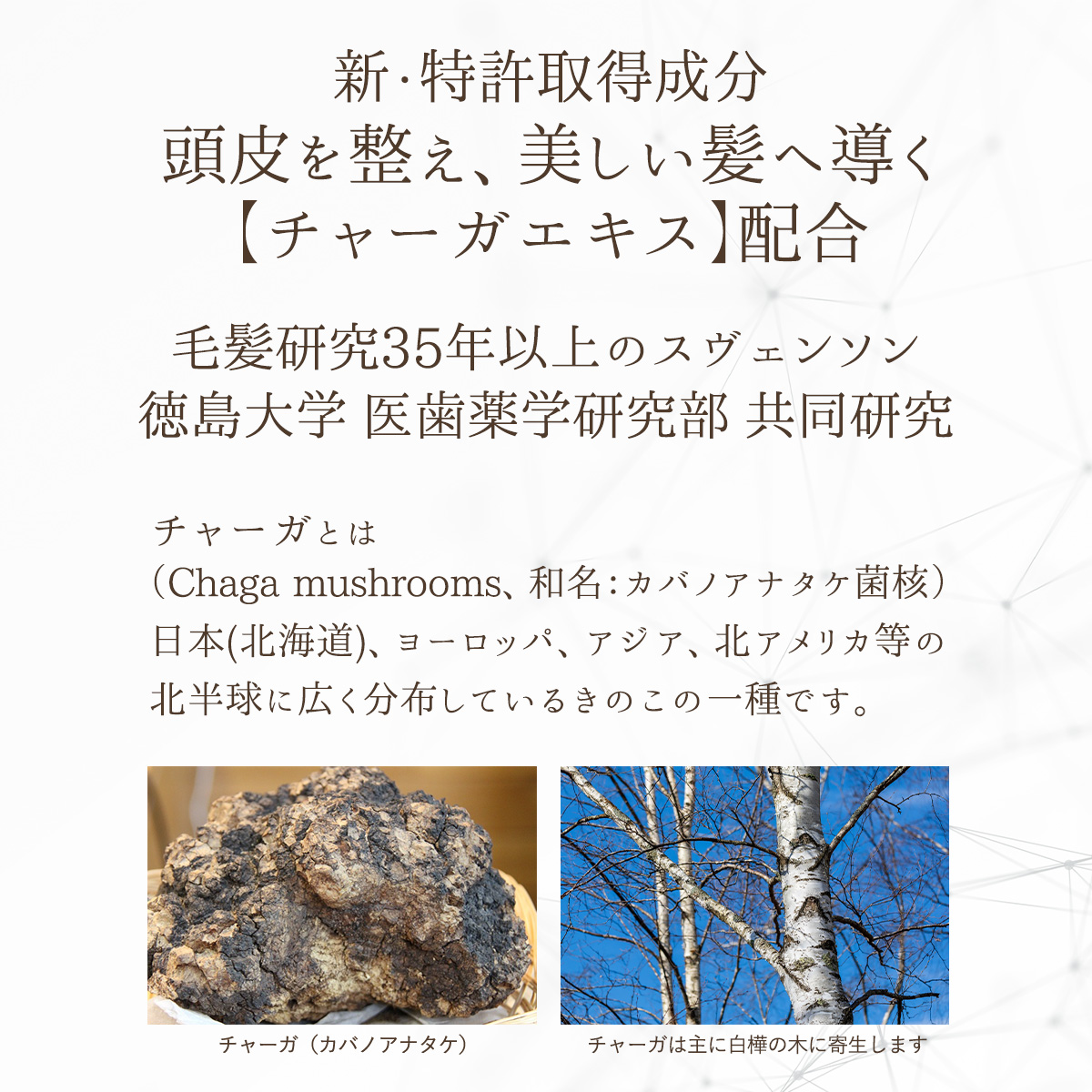 ■ザ・チャーガ 薬用育毛剤 120mL