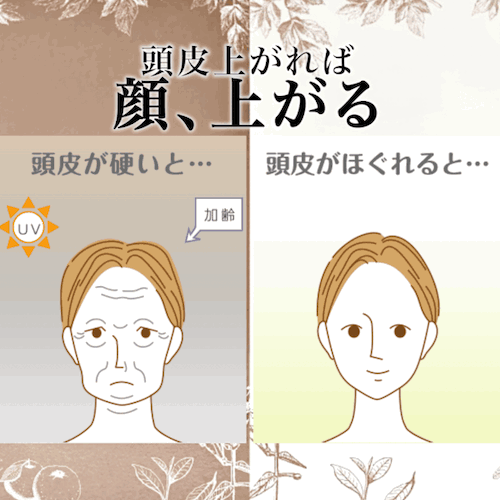 【定期】エッセンスローションZERO (初回半額)