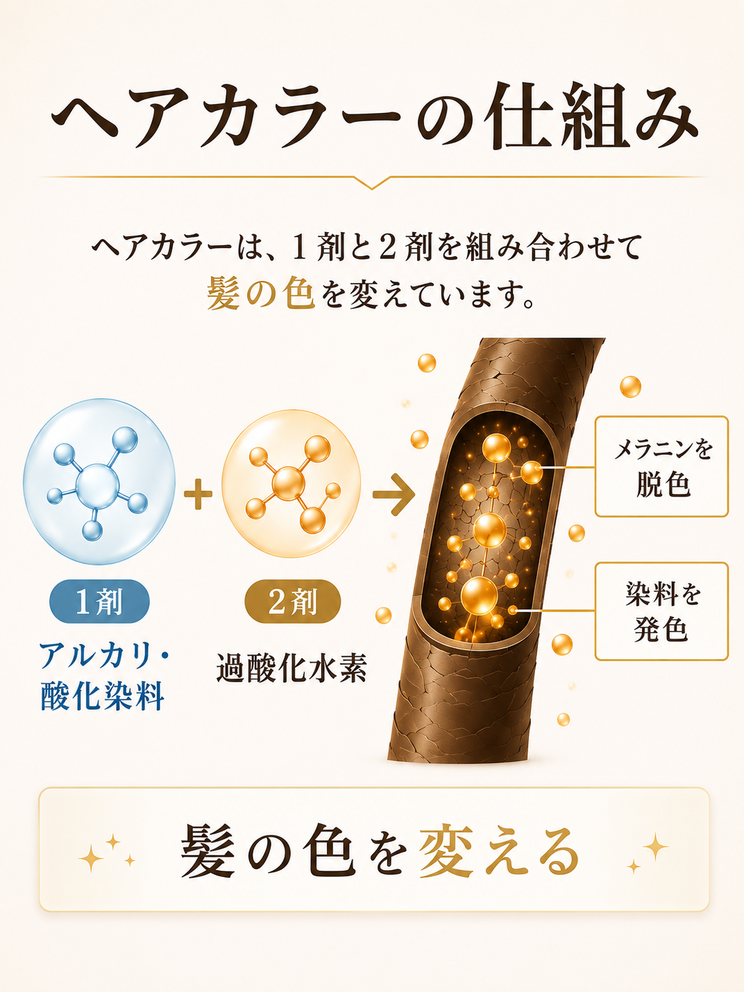 ヘアカラーによる髪と頭皮のダメージイメージ
