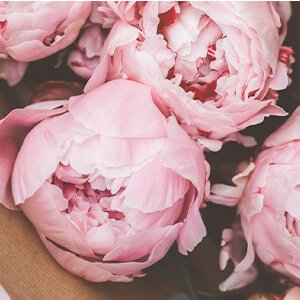 ROMANTIC アロマソイキャンドル（BOX＆リボン付）