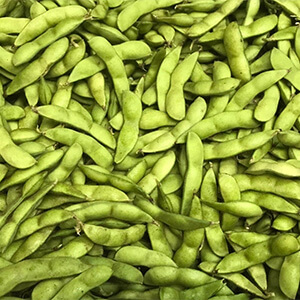 シーズナルベジスープ（枝豆）