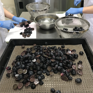 国産無添加ドライフルーツ（ぶどう）