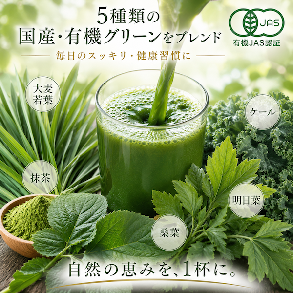 フルーツ青汁（シークワーサー＆アロニア）　お試しサイズ