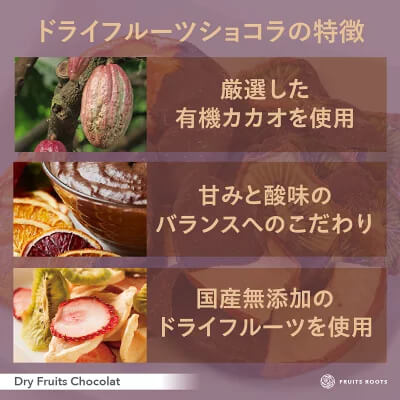 【ギフトBOX付】ドライフルーツチョコレート（りんご、みかん、キウイ）