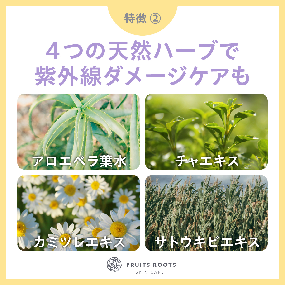 5 FRUITS ROSE スパサンミルクローション