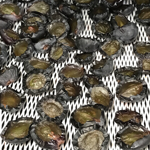 国産無添加ドライフルーツ（ぶどう）