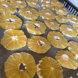 国産無添加ドライフルーツ（グレープフルーツ） ２袋セット