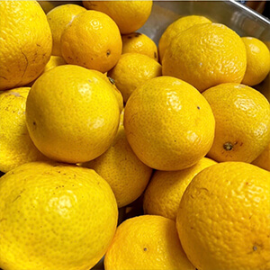 フルーツジャム（ゴールデンオレンジ＆日本酒）