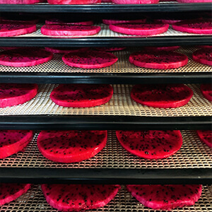 国産無添加ドライフルーツ（ドラゴンフルーツ）