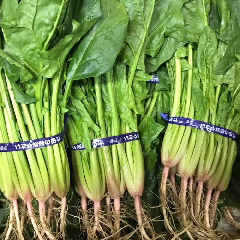 シーズナルベジスープ３個セット（ほうれん草、カリフラワー、白菜＆パンチェッタ）