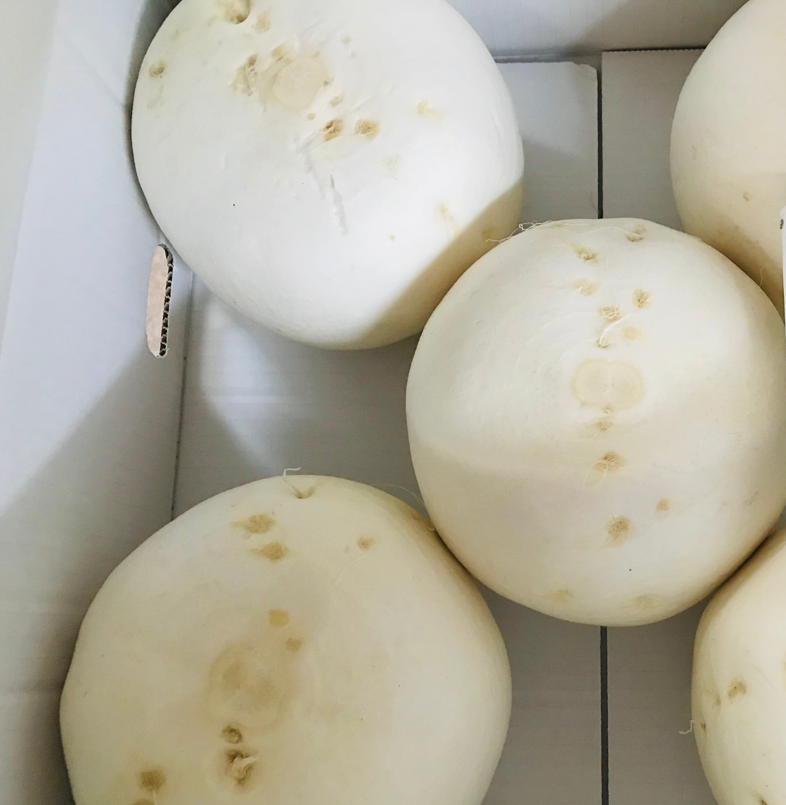 シーズナルベジスープ3個セット［2025-2026 冬］