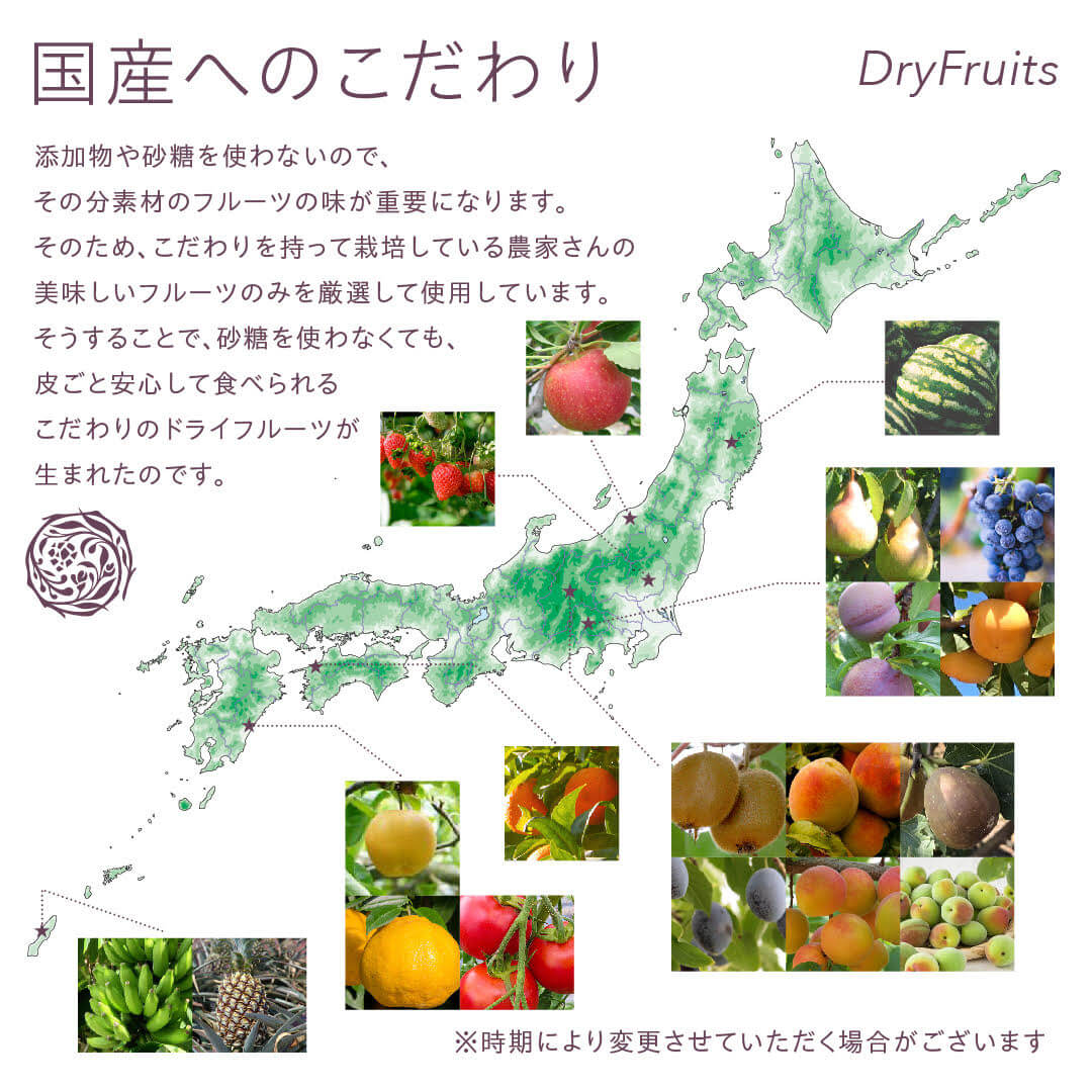 国産無添加ドライフルーツ ミックス（トマト、レモン、パパイヤ）