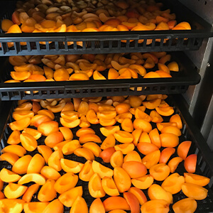 国産無添加ドライフルーツ（あんず /  アプリコット） ２袋セット