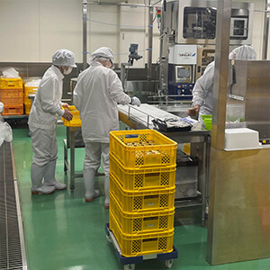 【初回食べ比べ３種セット】フルーツハニー