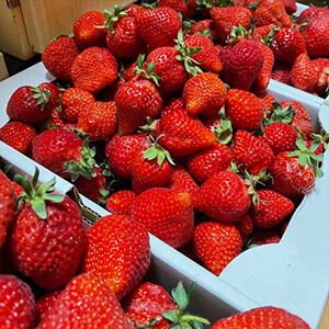 フルーツジャム（ストロベリー＆ラズベリー）