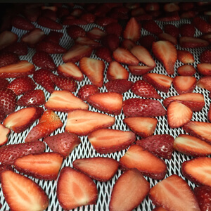 国産無添加ドライフルーツ（いちご）