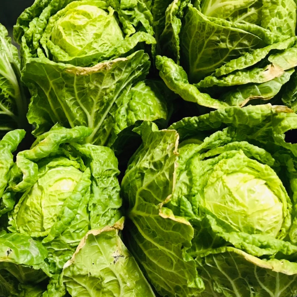 シーズナルベジスープ３個セット（ほうれん草、カリフラワー、白菜＆パンチェッタ）