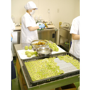 国産無添加ドライフルーツ（キウイ）