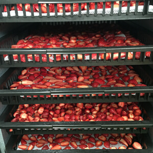 国産無添加ドライフルーツ（いちご）