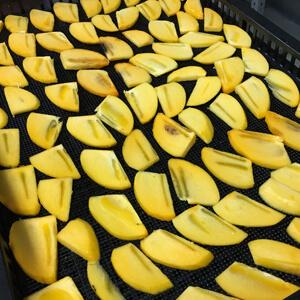 国産無添加ドライフルーツ（柿）