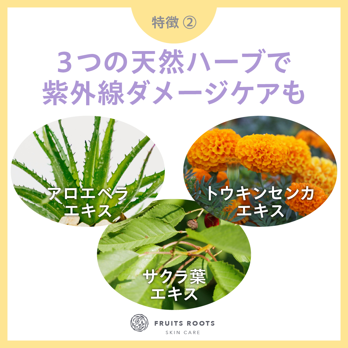 SENSITIVE カーミングサンクリーム