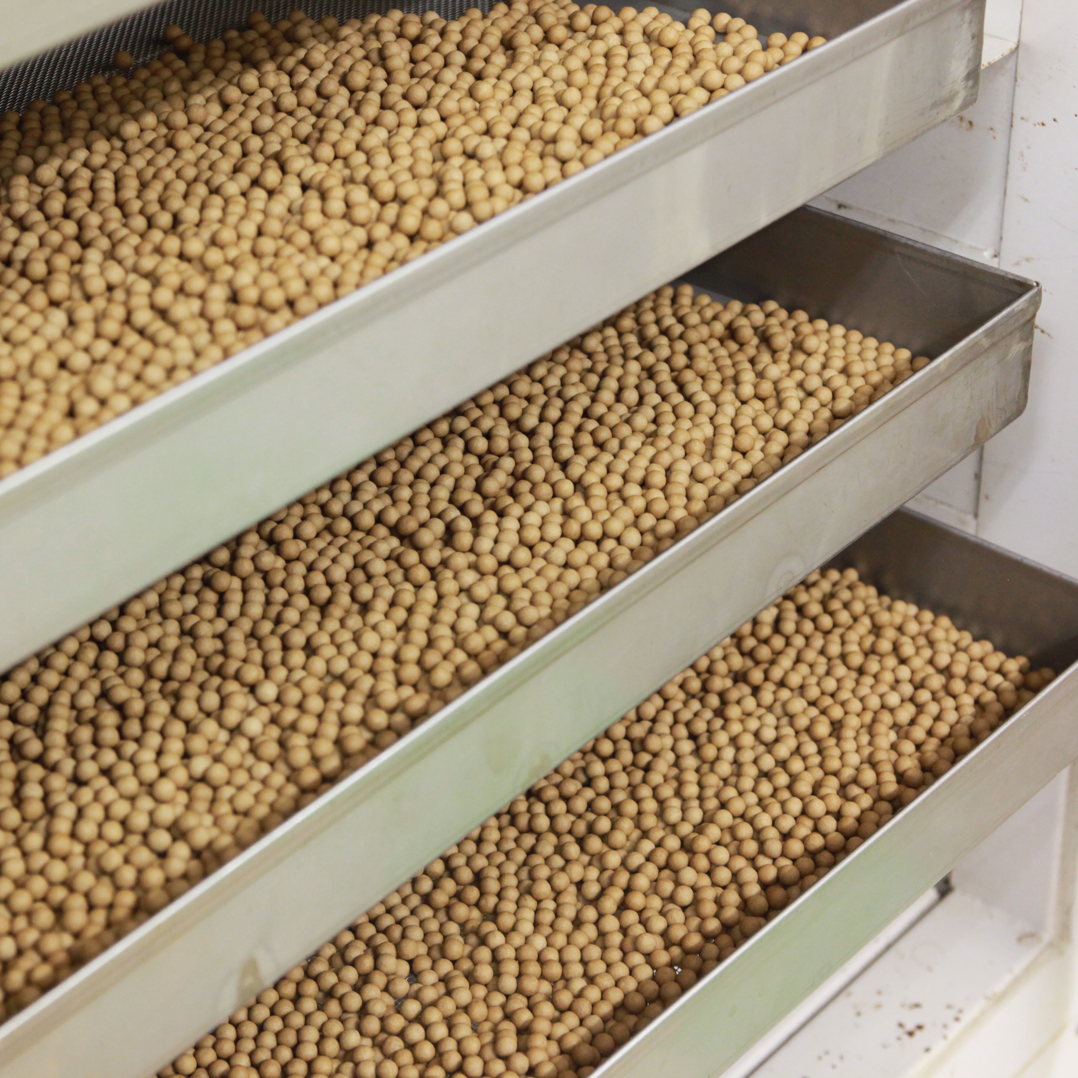 フルーツ＆ハーブサプリメント（CHACOAL&27MIX）