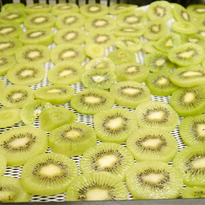 国産無添加ドライフルーツ（キウイ）