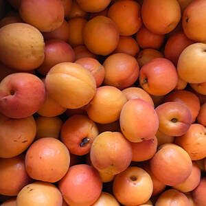 国産無添加ドライフルーツ（あんず /  アプリコット） ２袋セット