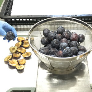 国産無添加ドライフルーツ（プルーン）