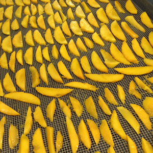 国産無添加ドライフルーツ（マンゴー） ２袋セット