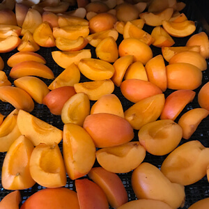 国産無添加ドライフルーツ（あんず /  アプリコット） ２袋セット