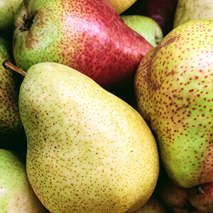 アロマソイキャンドル3種セット