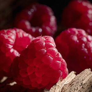 ROMANTIC アロマソイキャンドル（BOX＆リボン付）