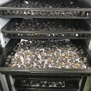 国産無添加ドライフルーツ（ぶどう）