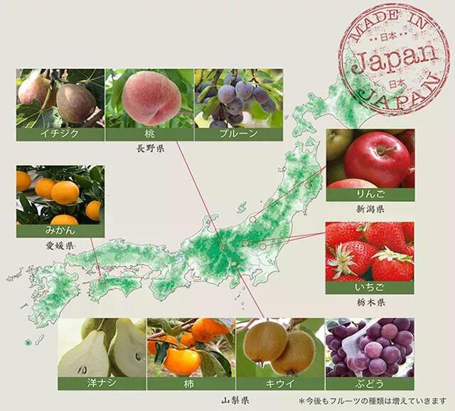 ドライフルーツの生産地マップ