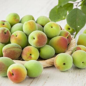 国産無添加ドライフルーツ（梅）