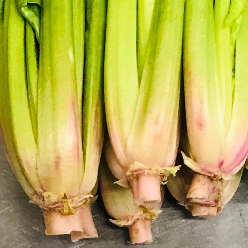 シーズナルベジスープ（ほうれん草）