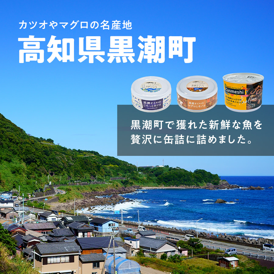 黒潮町缶詰 全5種セット 缶数: 各1缶（合計5缶）