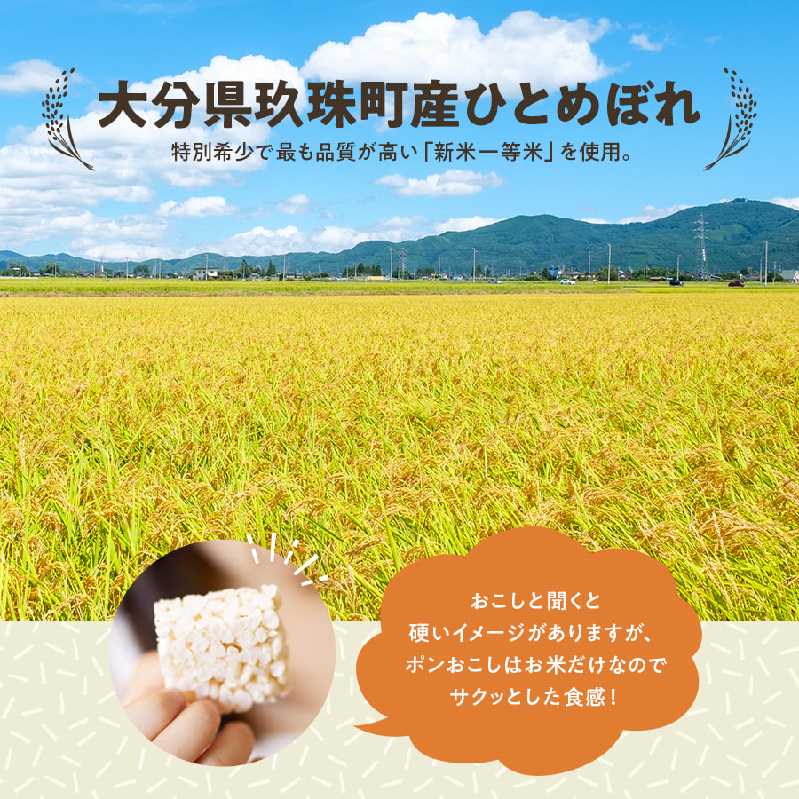 ポンおこし 味: バラエティ（プレーン・純黒糖・無添加チョコレート）, 袋数: 各1袋（合計3袋）