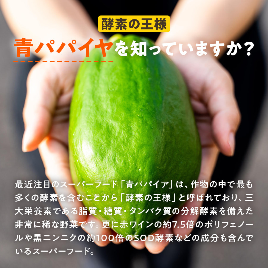 南国酵素スムージー