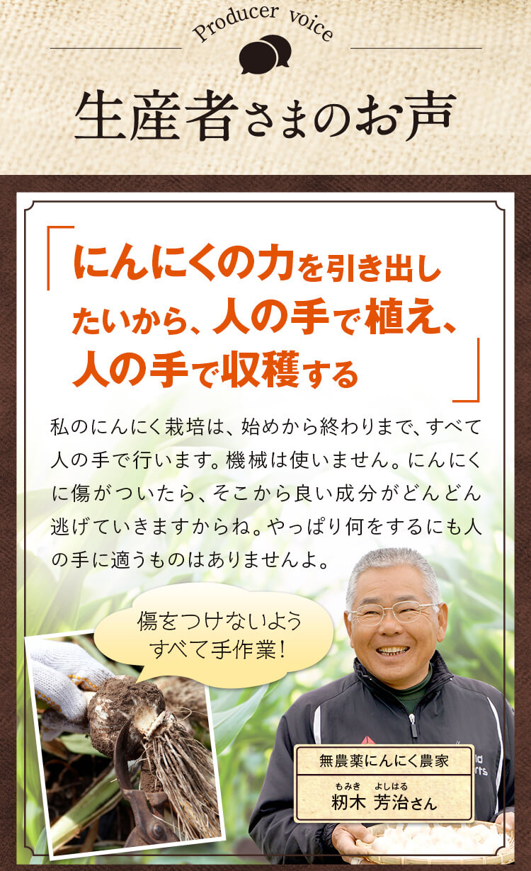 にんにくの力を引き出したいから、人の手で植え、人の手で収穫する
