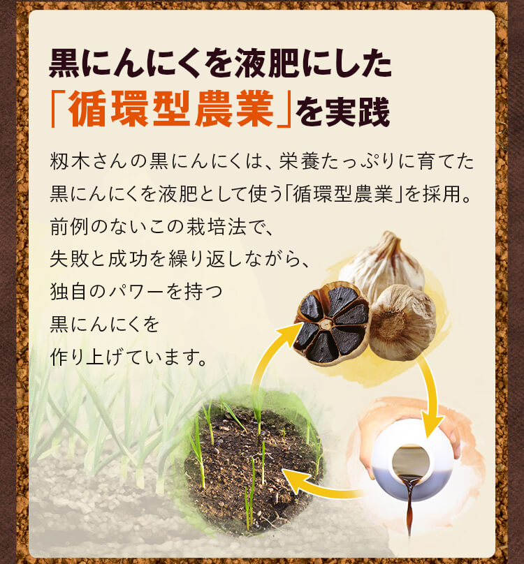 黒にんにくを液肥にした「循環型農業」を実践