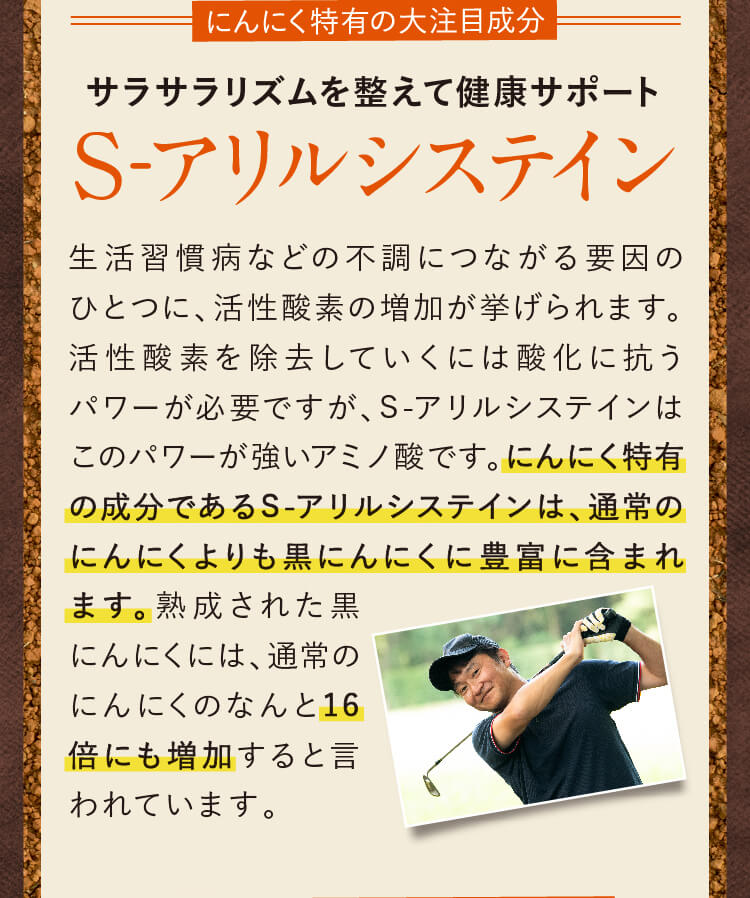 サラサラリズムを整えて健康サポート　S-アリルシステイン