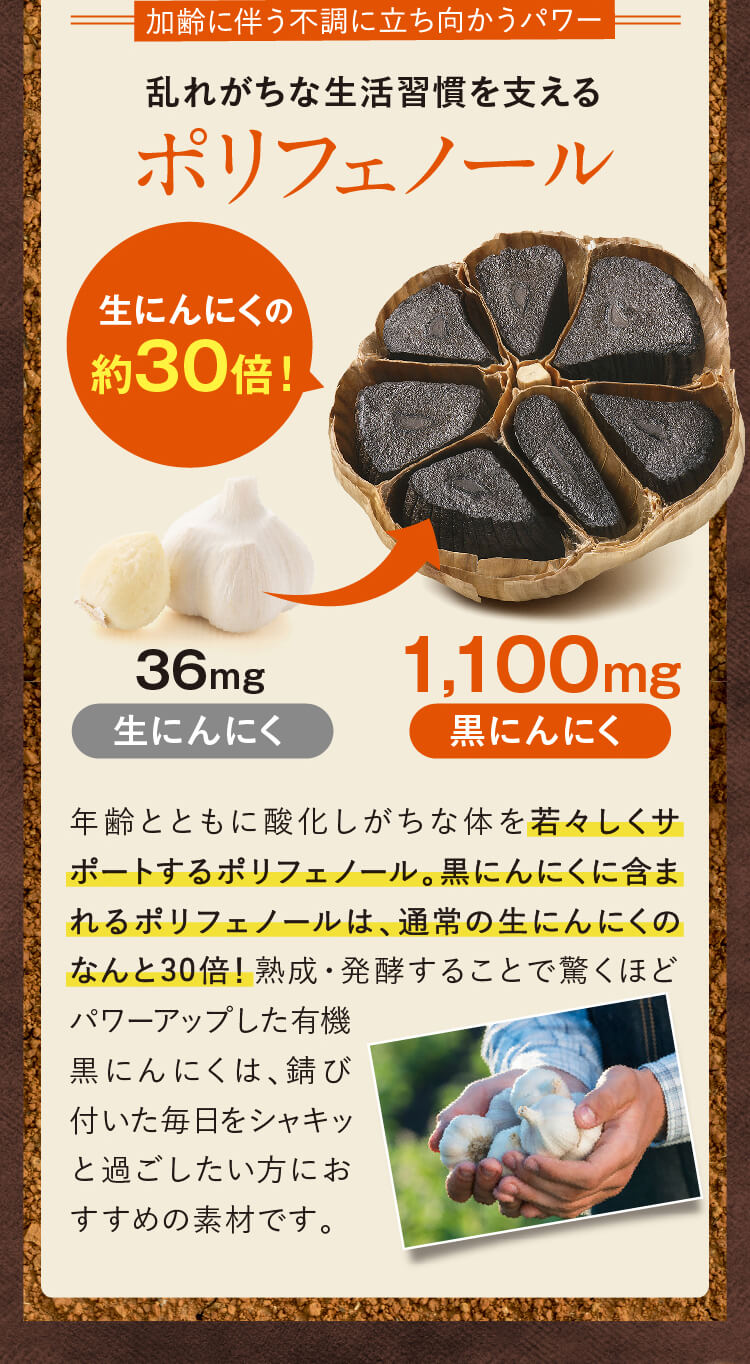 乱れがちな生活習慣を支える　ポリフェノール