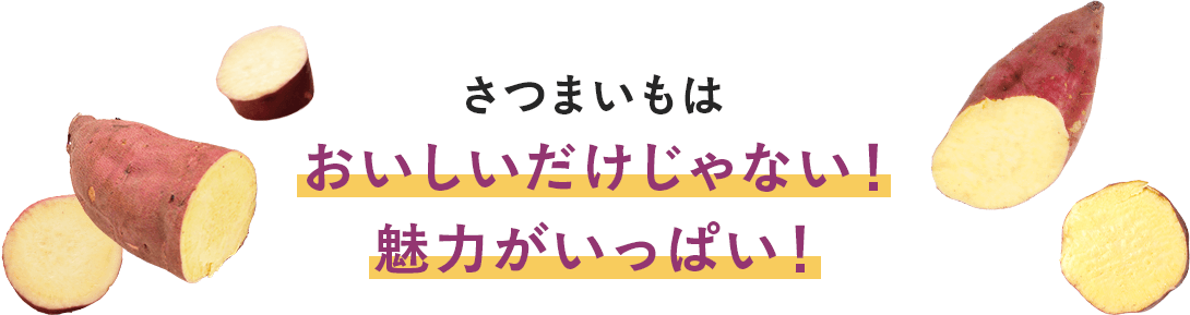 おいしいだけじゃない!魅力がいっぱい!